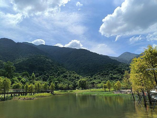 揭秘“北溪”管道破坏案：德方已确认两名嫌疑人身份